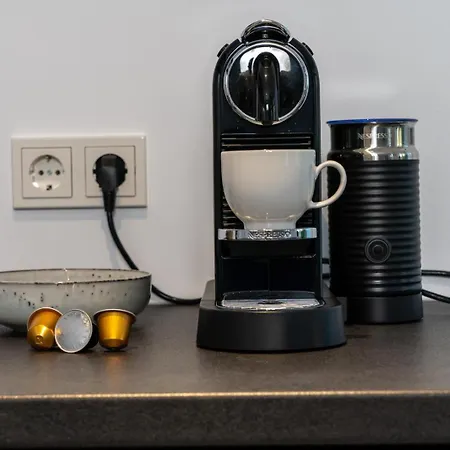 Appartement Oase Am Tierpark Exklusiv Und Gehobener Standard Freiberg