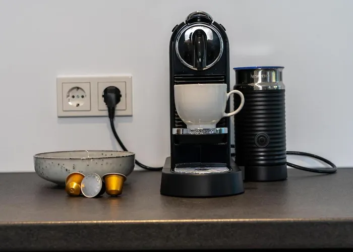 公寓 Oase Am Tierpark Exklusiv Und Gehobener Standard 弗赖贝格